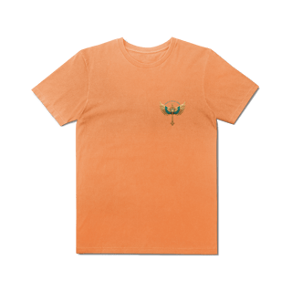 Nome do produto T-SHIRT ESTONADA - BRASIL DE DRONE 