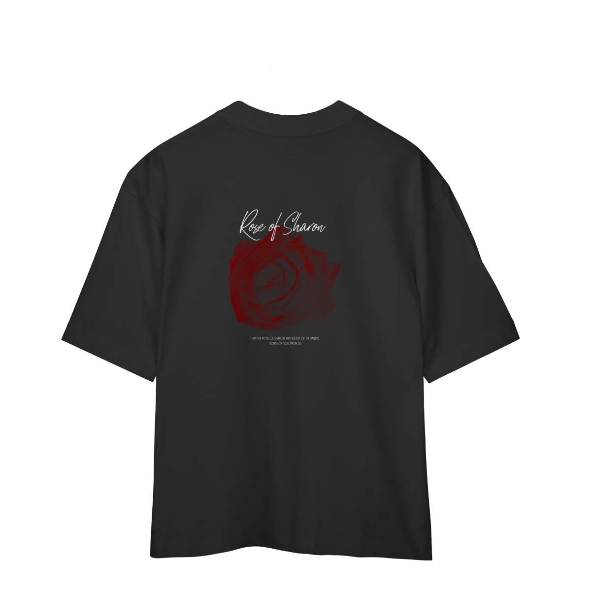 0073OS - Camiseta Oversized Rose of Sharon