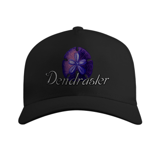 Nome do produto Bone americano DENDRASTER