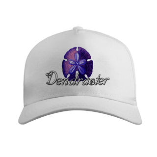 Nome do produto Bone americano DENDRASTER