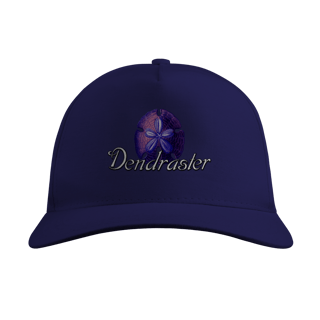 Nome do produto Bone DENDRASTER