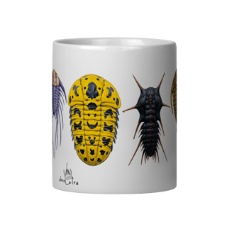 Nome do produto Trilobitas