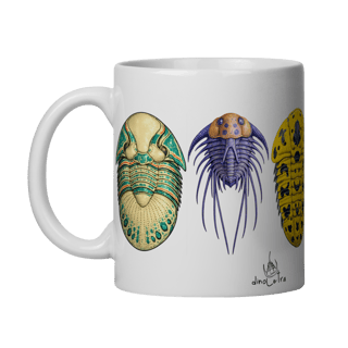 Trilobitas