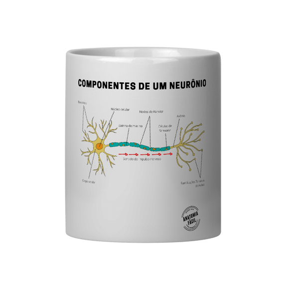 Caneca Componentes