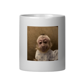 Nome do produto Caneca Macaquinhus