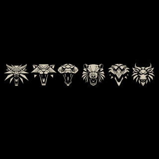 Nome do produtoCamiseta Witcher Schools