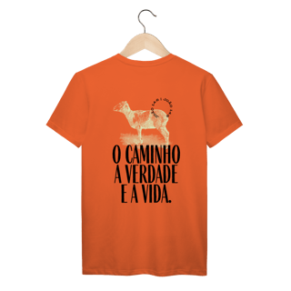 Nome do produto CVV - TSHIRT COLORS