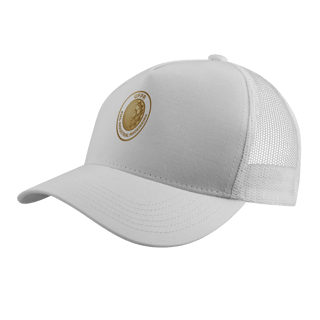 Nome do produto Boné Engenharia Industrial Madeireira UFPR – Design Metálico Premium com Logo Exclusiva