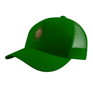 Nome do produto Boné Engenharia Industrial Madeireira UFPR – Design Metálico Premium com Logo Exclusiva