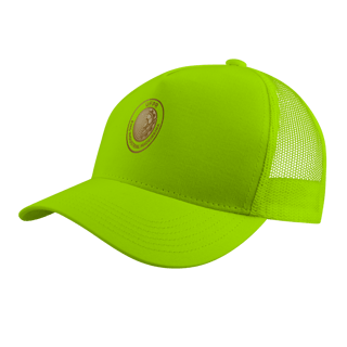 Nome do produto Boné Engenharia Industrial Madeireira UFPR – Design Metálico Premium com Logo Exclusiva