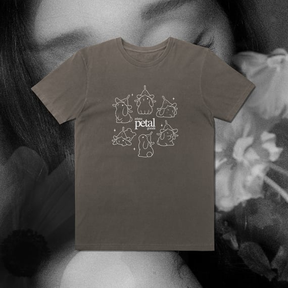 Camiseta Bunnies Cinza Estonada