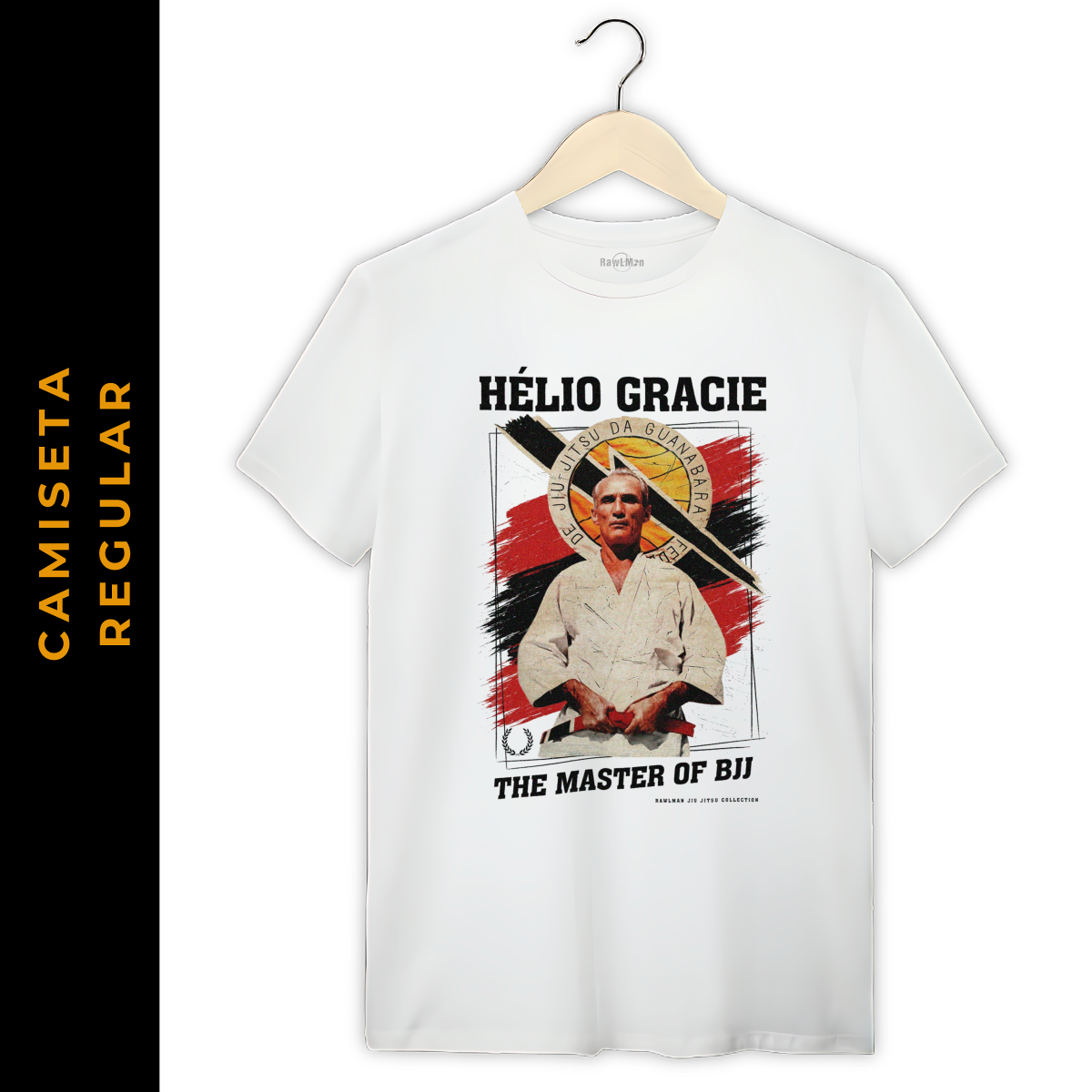 Regular Jiu Jitsu VII