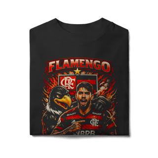 Nome do produto Oversized Flamengo XVII