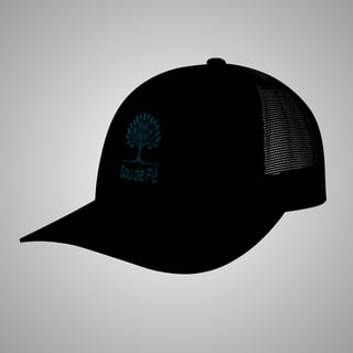 Nome do produtoSou de Fé – Boné com tela