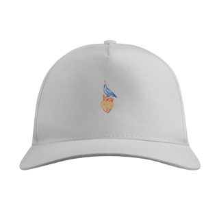 Nome do produtoBoné Tradicional - Nsa de Pentecostes