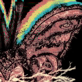 Nome do produto Chappell Roan Moth