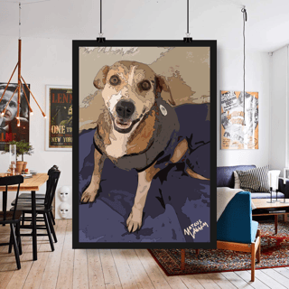 Doguito - Abrigo Bichano