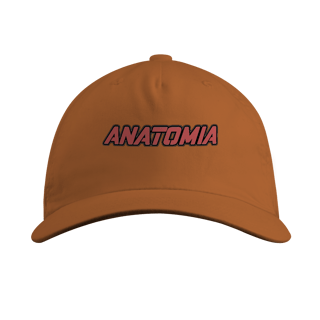 Anatomia