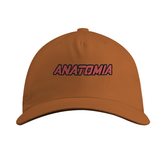 Anatomia