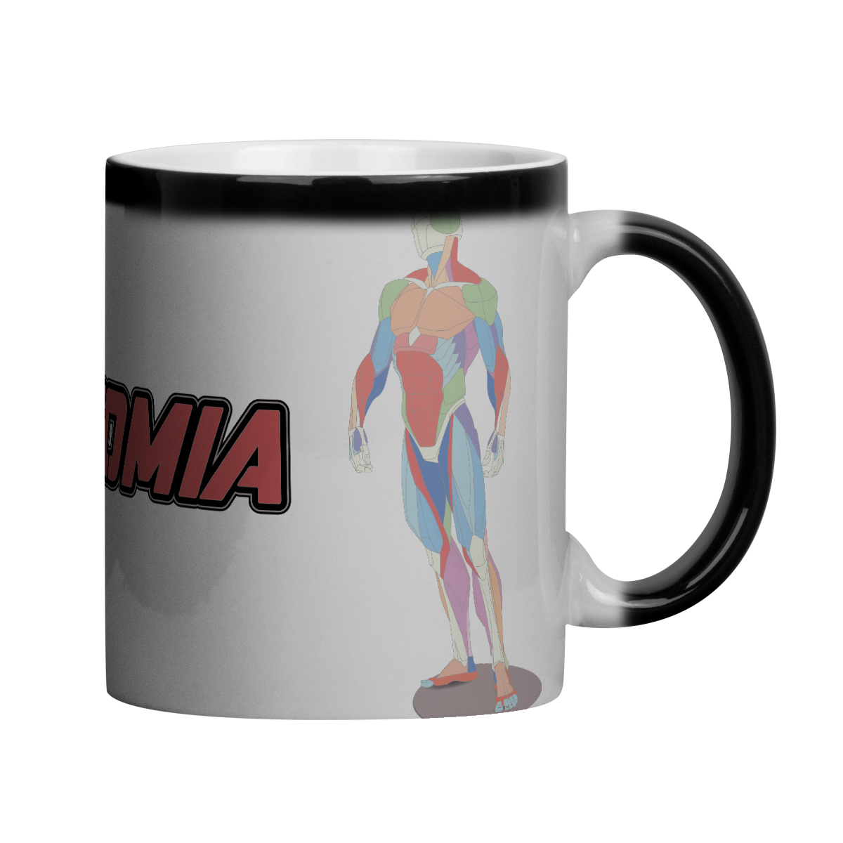 Nome do produto: Anatomia