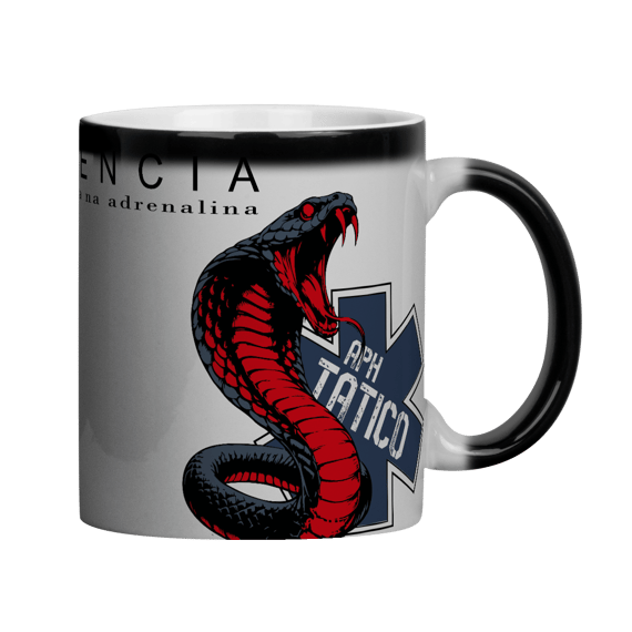 APH Tático