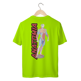 Anatomia