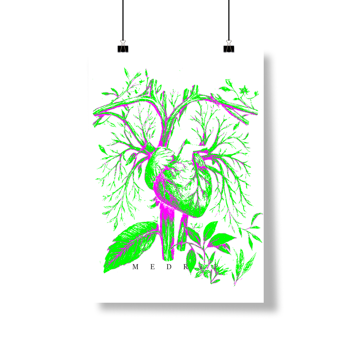 Nome do produto: 1FOLH2POST