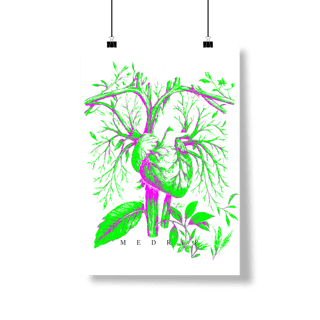 Nome do produto 1FOLH2POST