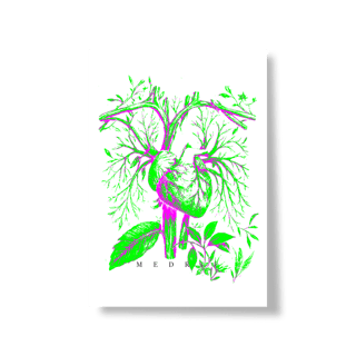 Nome do produto 1FOLH2POST