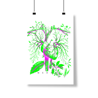 Nome do produto 1FOLH2POST