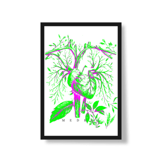 Nome do produto 1FOLH2POST