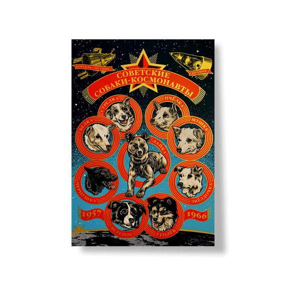Pôster - Cães Cosmonautas Soviéticos