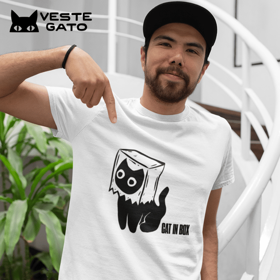 Cat in Box (Quality)