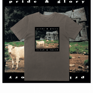 Nome do produto T-Shirt Estonada - Pride & Glory Album