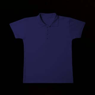 Nome do produto Camisa polo Feminina Sem Estampa