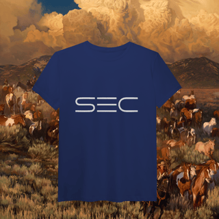 Nome do produto Heaven`s gate - T-Shirt Pima