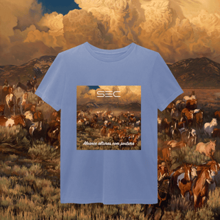 Nome do produto Heaven`s gate - T-Shirt Estonada