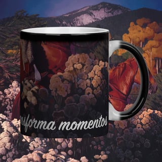 Nome do produto Magic Hour in taos - Caneca Mágica