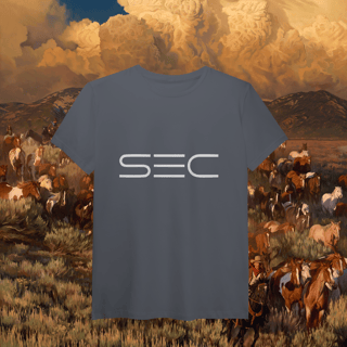 Nome do produto Heaven`s gate - T-Shirt Pima