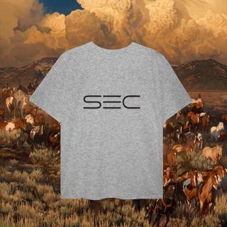 Nome do produto Heaven`s gate - T-Shirt Plus Size