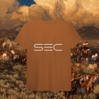 Nome do produto Heaven`s gate - T-Shirt Pima