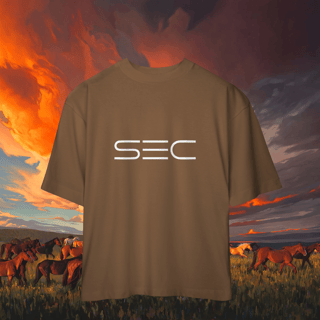 Nome do produto Independence - Camiseta Oversized