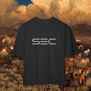 Heaven`s gate - Camiseta Oversized