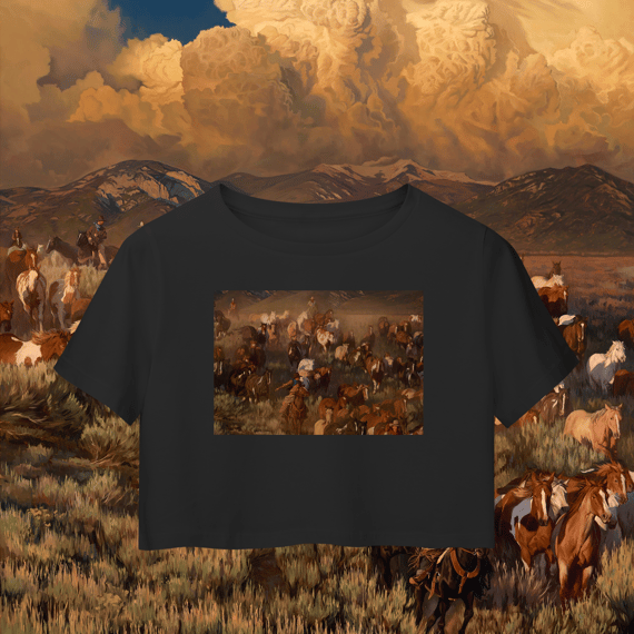 Heaven`s gate - Camisa Cropped