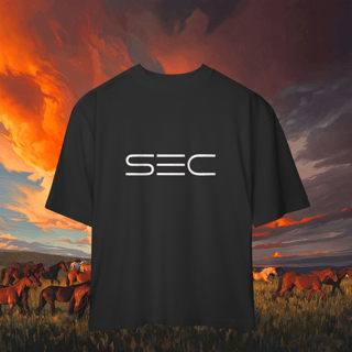 Nome do produto Independence - Camiseta Oversized