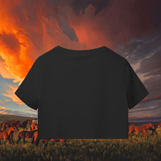 Nome do produto Independence - Camisa Cropped