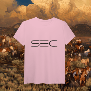 Nome do produto Heaven`s gate - T-Shirt Pima