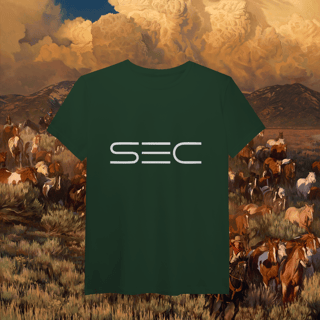 Nome do produto Heaven`s gate - T-Shirt Pima