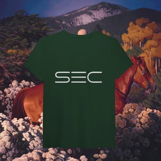 Nome do produto Magic Hour in taos - T-Shirt Pima