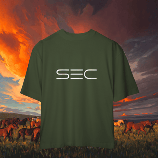 Nome do produto Independence - Camiseta Oversized